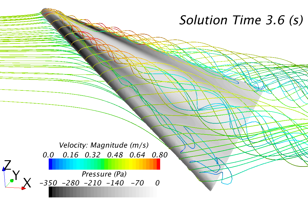 Flow pattern around the delta wing.